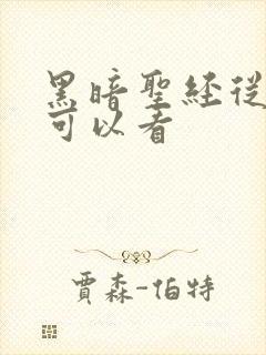 黑暗圣经从哪里可以看