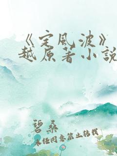 《定风波》王星越原著小说
