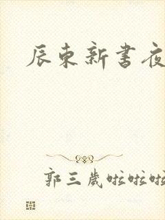 辰东新书夜无疆