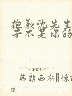 抱歉沈先生,孩子不是你的 短剧