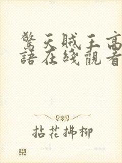 惊天贼王高清国语在线观看免费