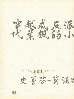 穿越成反派富二代叶枫的小说