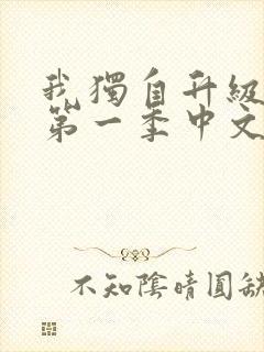 我独自升级动漫第一季中文版