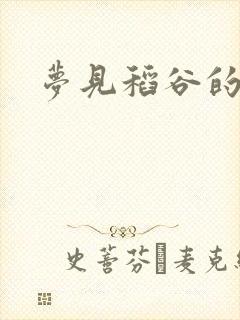 梦见稻谷的小说