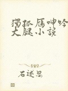 独孤雁呻吟柔软大腿小说