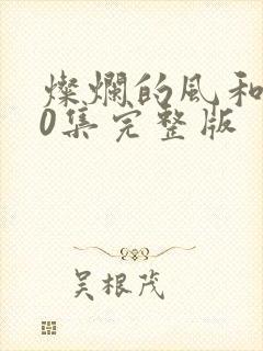 灿烂的风和海40集完整版