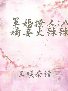 军婚撩人:八零娇妻火辣辣电子书