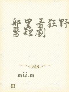 哪里看狂野小神医短剧