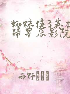 蜘蛛侠3英雄无归星辰影院