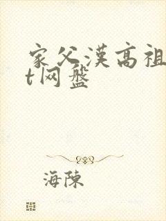 家父汉高祖txt网盘