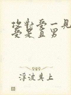 攻对受一见钟情受是直男