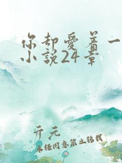 你却爱着一个他小说24章