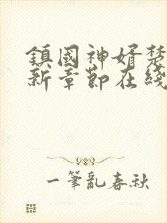 镇国神婿楚尘最新章节在线