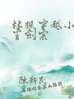 林枫穿越小说神霄剑宗