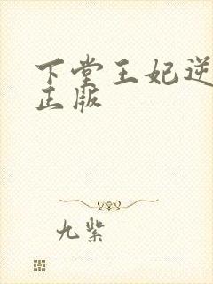 下堂王妃逆袭记正版