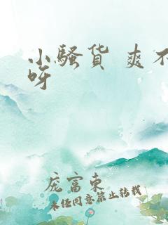 小骚货 爽不爽呀