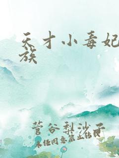 天才小毒妃七贵族