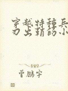 穿越特种兵之利刃出鞘的小说