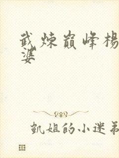 武炼巅峰杨开老婆