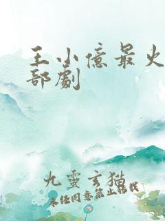 王小亿最火的十部剧