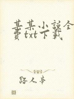 某某小说全文免费txt下载