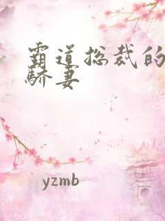 霸道总裁的独宠骄妻