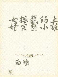 女总裁的上门女婿完整小说