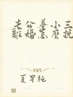 老公养小三坚决离婚怎么挽救