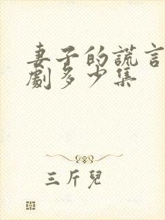 妻子的谎言电视剧多少集