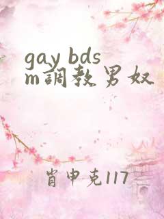 gay bdsm调教男奴