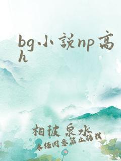 bg小说np高h