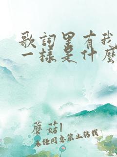 歌词里有我们不一样是什么歌