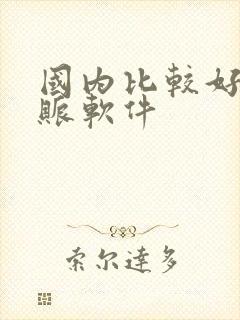 国内比较好的代账软件