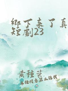 乡下来了真千金短剧23