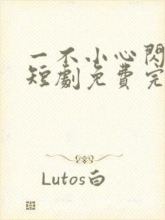 一不小心闪婚了短剧免费完整版