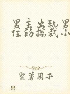 男主出轨男二上位的总裁小说