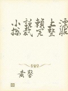 小说赖上漂亮女总裁完整版