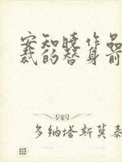 安知晓作品:总裁的替身前妻在线版