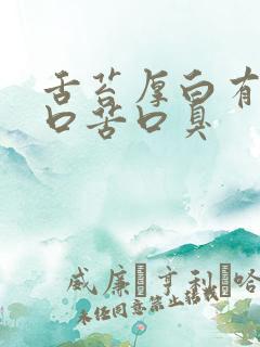 舌苔厚白有齿痕口苦口臭