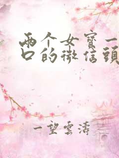 两个女宝一家四口的微信头像