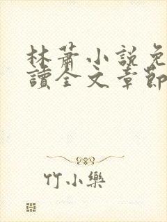 林萧小说免费阅读全文章节