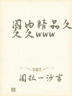 国内精品久久久久久www