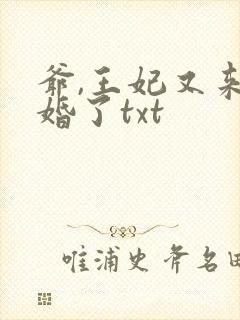 爷,王妃又来催婚了txt