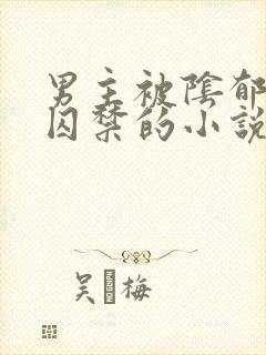 男主被阴郁疯批囚禁的小说