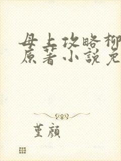 母上攻略柳如裳原著小说免费阅读