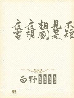 夜夜相见不识君电视剧是短剧吗