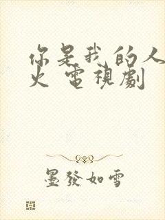 你是我的人间烟火 电视剧