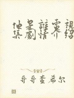 他是谁电视剧分集剧情介绍