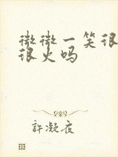 微微一笑很倾城很火吗