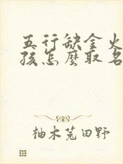 五行缺金火的男孩怎么取名字